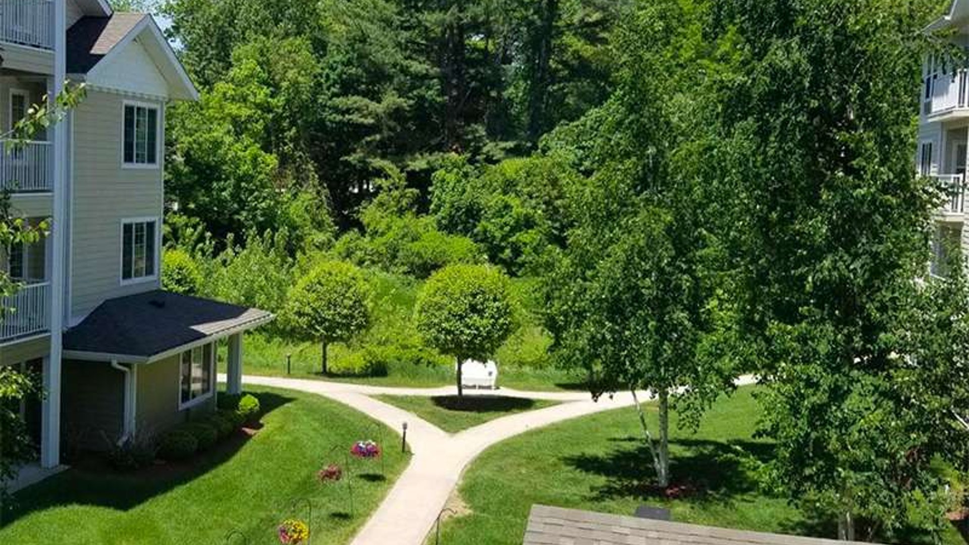 System.Collections.Generic.List`1[AFS.Common.Models.Photo] - Image 6