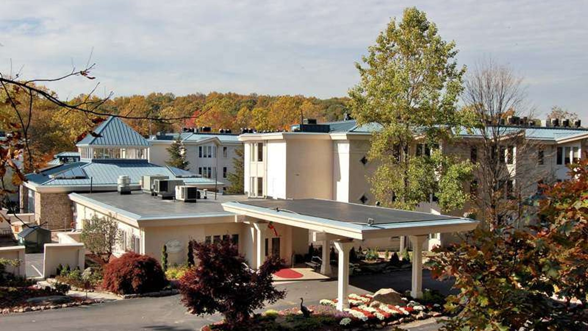 System.Collections.Generic.List`1[AFS.Common.Models.Photo] - Image 1