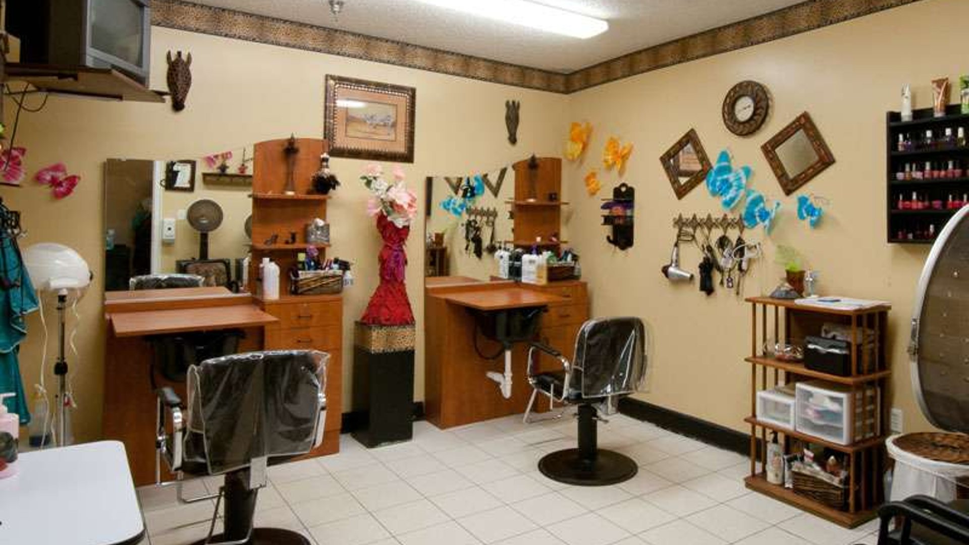 System.Collections.Generic.List`1[AFS.Common.Models.Photo] - Image 4