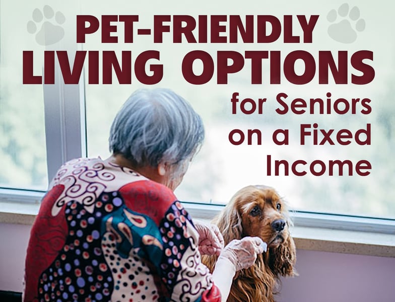 Pet-Friendly Options.jpg