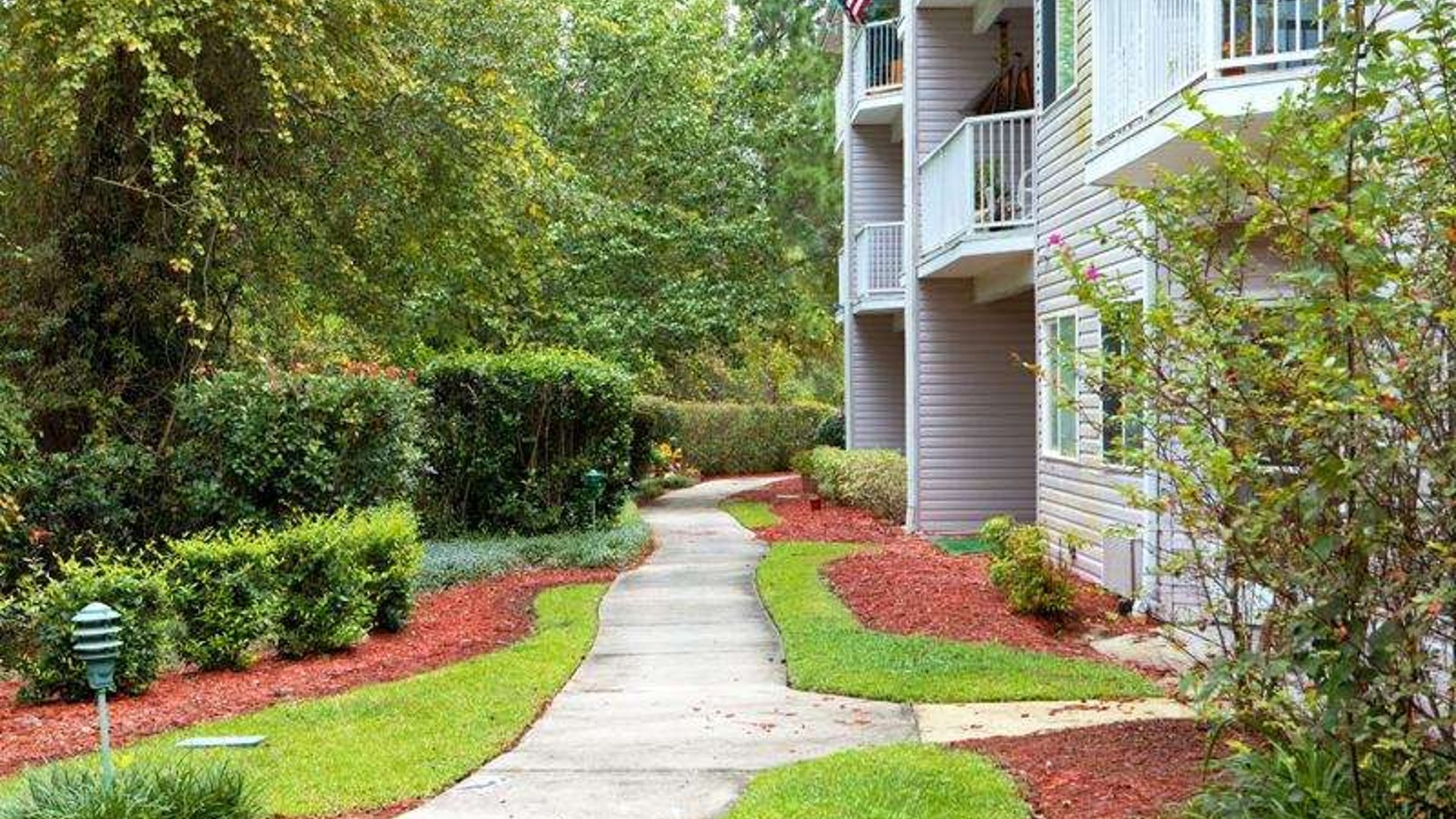 System.Collections.Generic.List`1[AFS.Common.Models.Photo] - Image 6