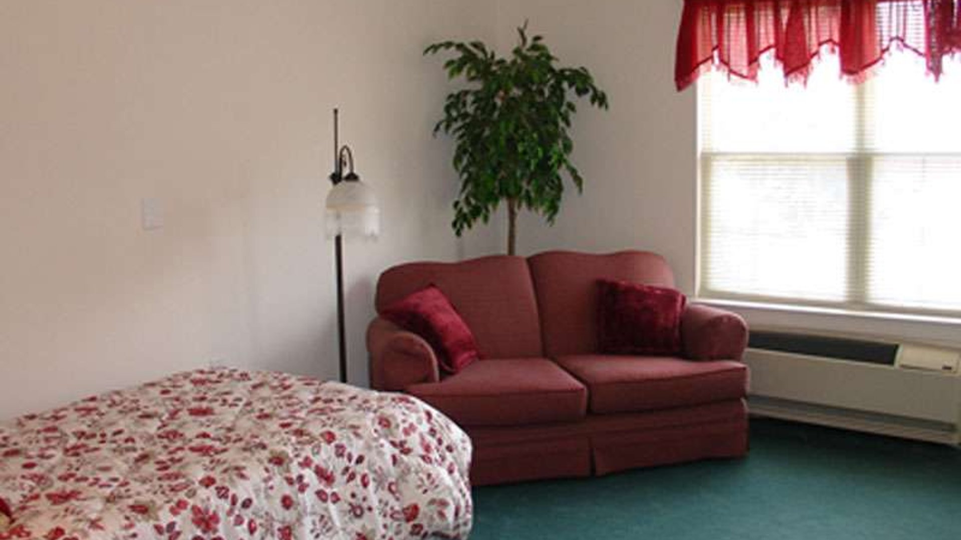 System.Collections.Generic.List`1[AFS.Common.Models.Photo] - Image 4