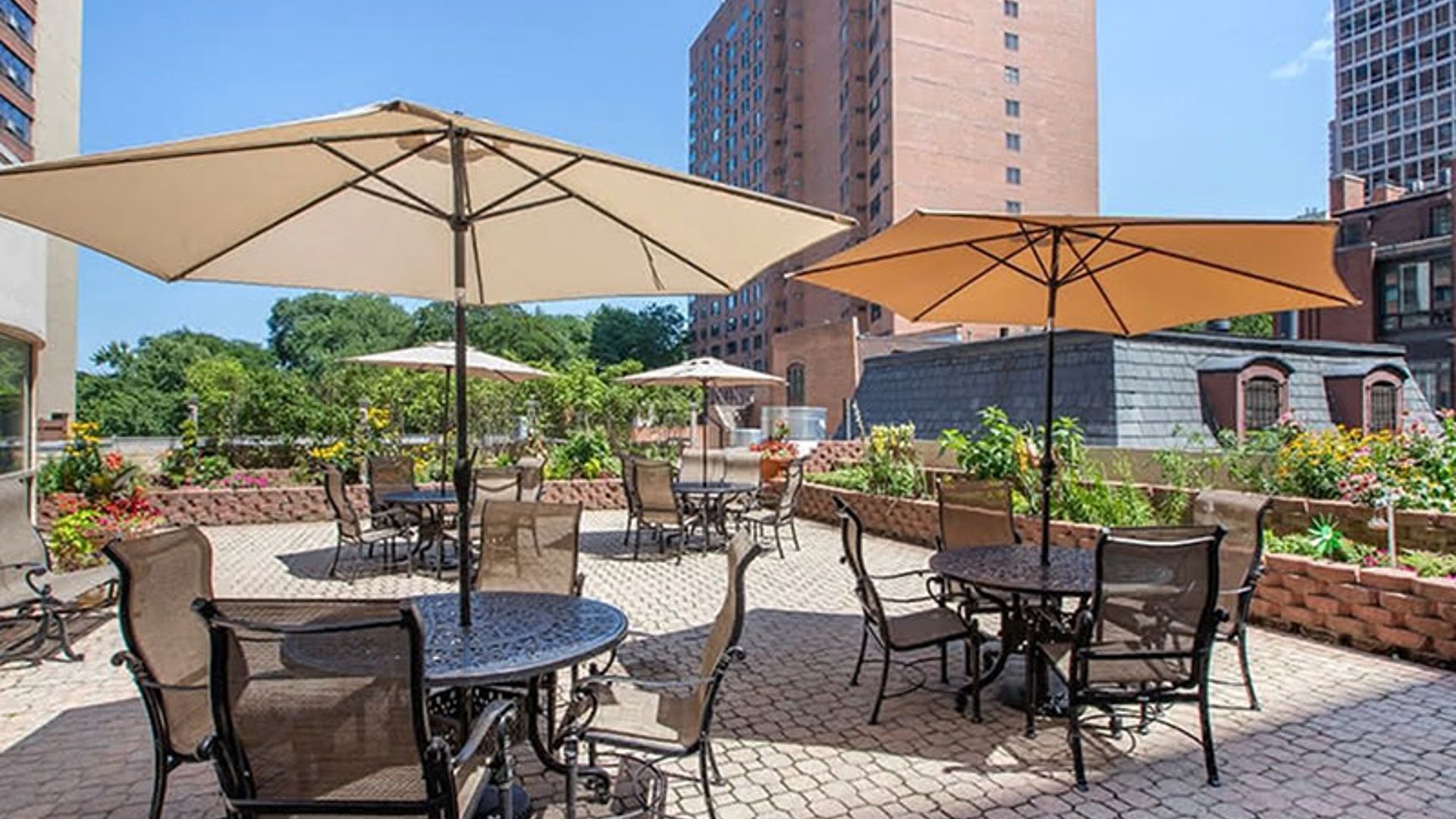 System.Collections.Generic.List`1[AFS.Common.Models.Photo] - Image 2