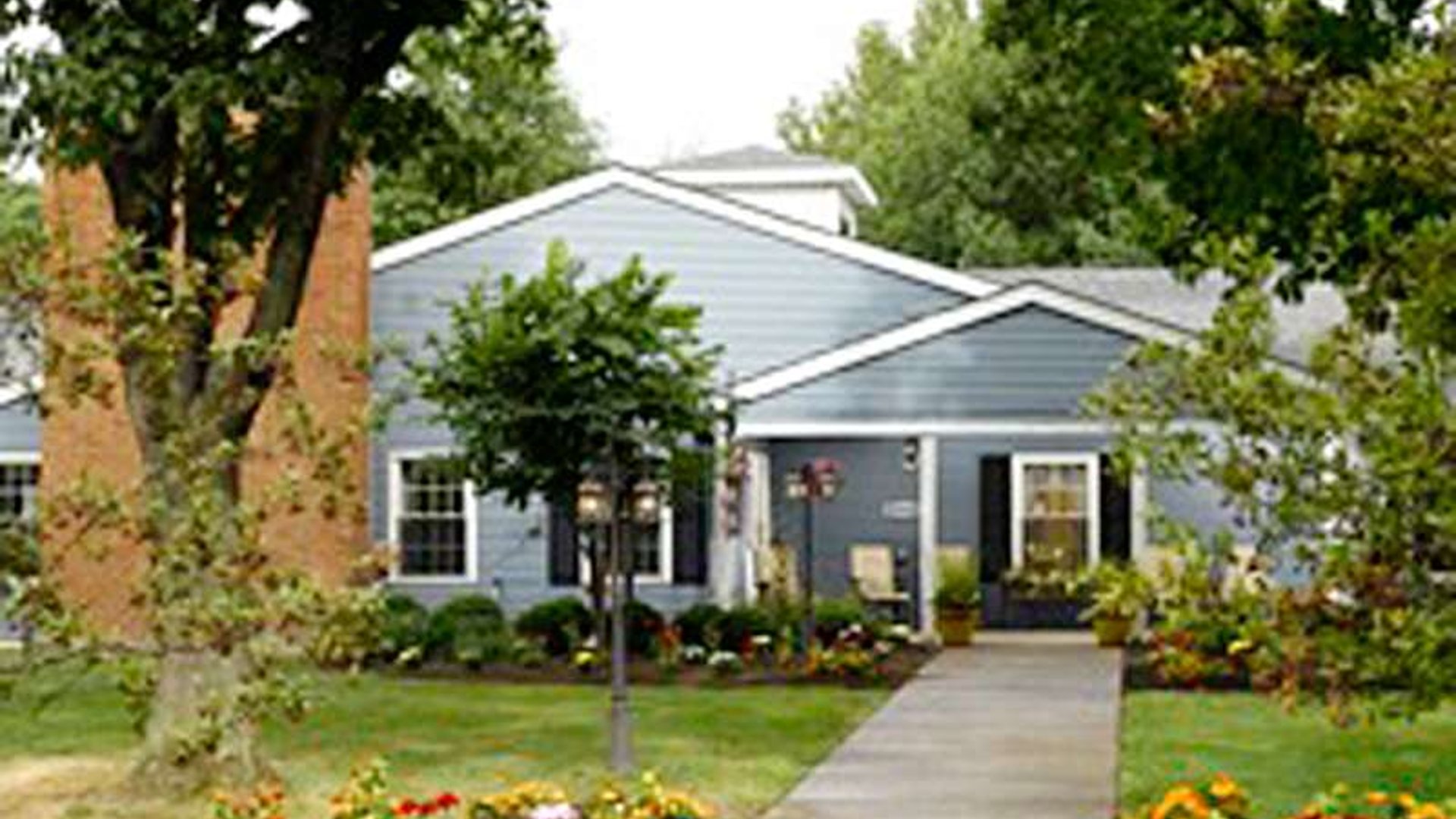 System.Collections.Generic.List`1[AFS.Common.Models.Photo] - Image 1