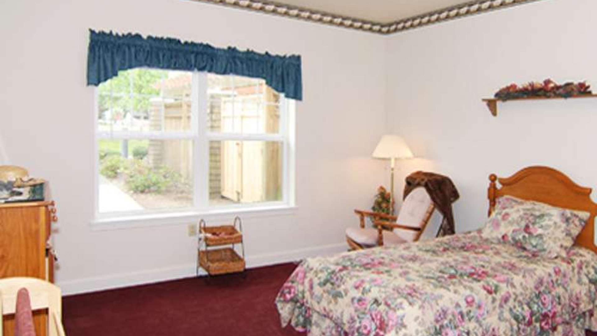 System.Collections.Generic.List`1[AFS.Common.Models.Photo] - Image 3