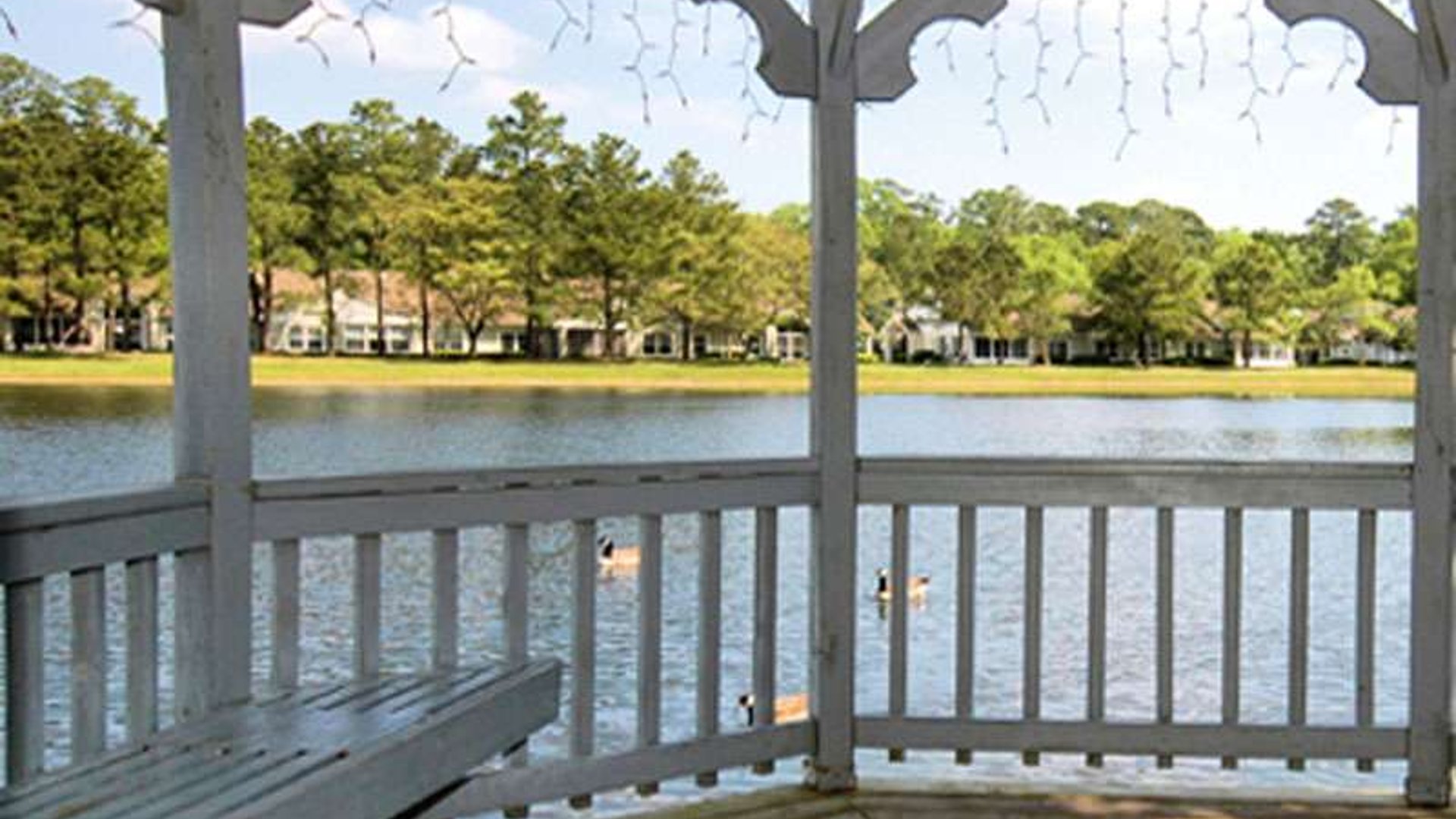 System.Collections.Generic.List`1[AFS.Common.Models.Photo] - Image 4