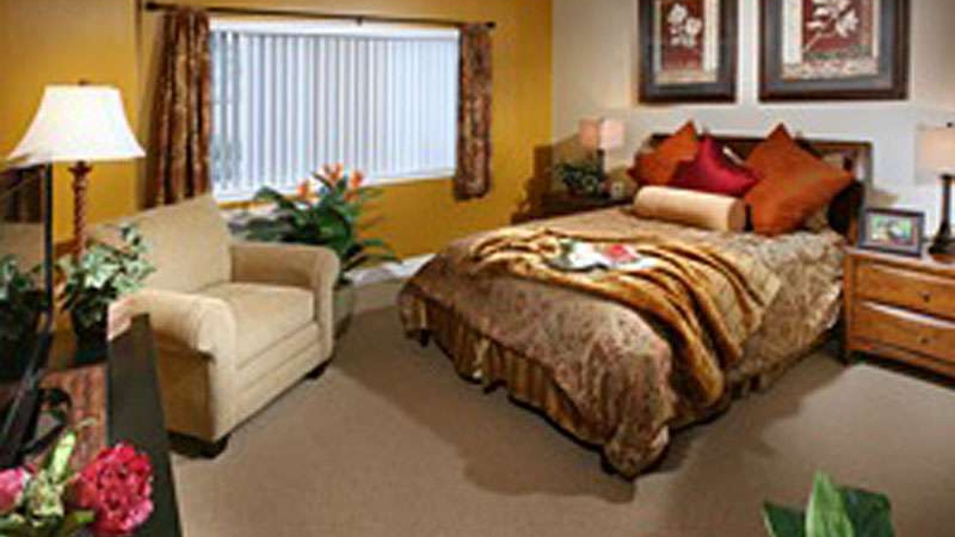 System.Collections.Generic.List`1[AFS.Common.Models.Photo] - Image 3