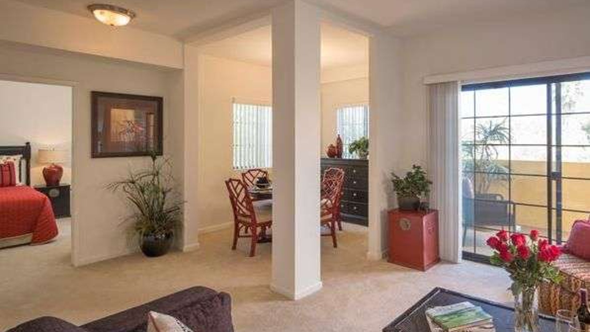 System.Collections.Generic.List`1[AFS.Common.Models.Photo] - Image 3