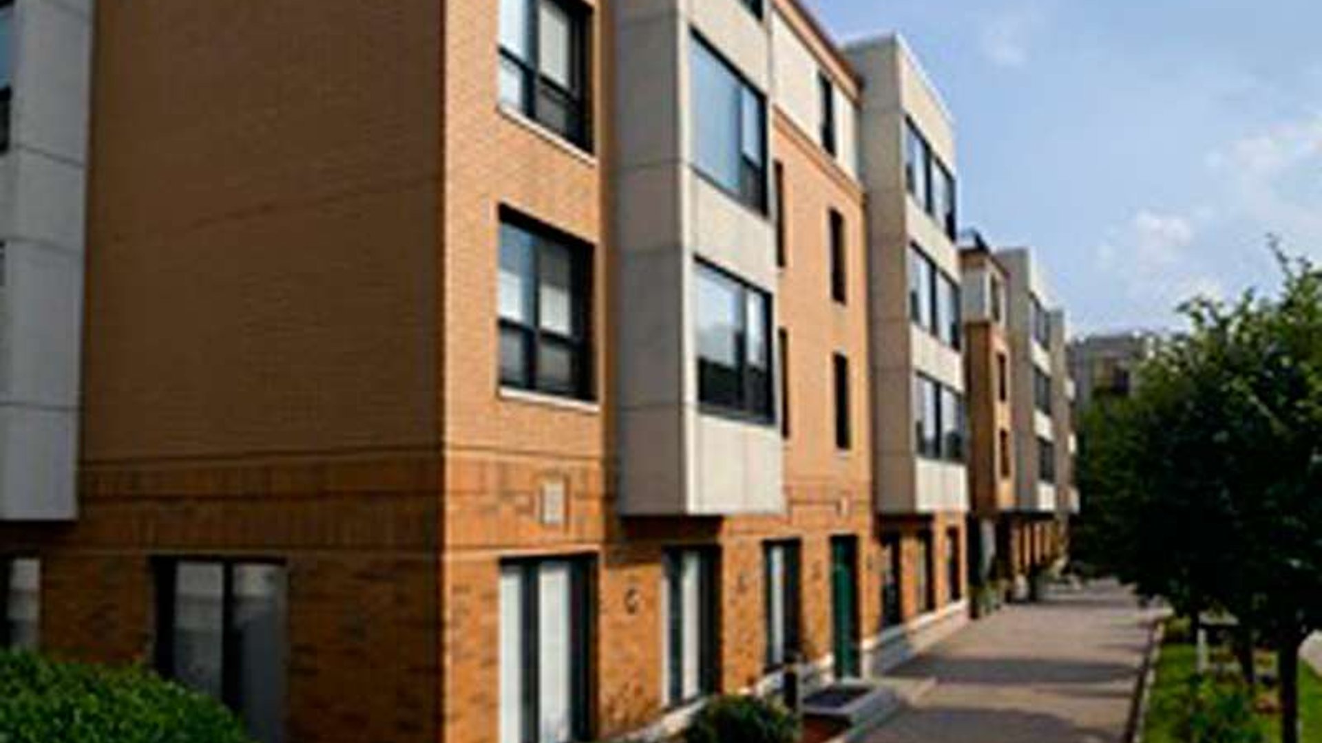 System.Collections.Generic.List`1[AFS.Common.Models.Photo] - Image 2