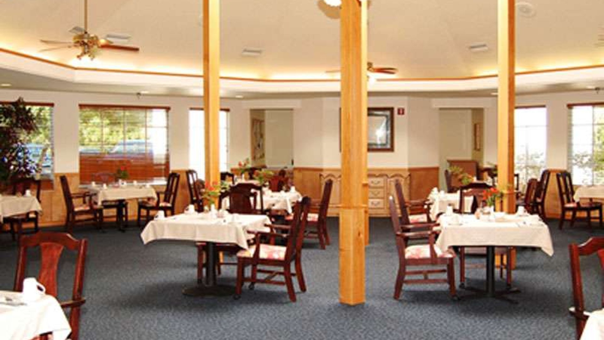 System.Collections.Generic.List`1[AFS.Common.Models.Photo] - Image 3