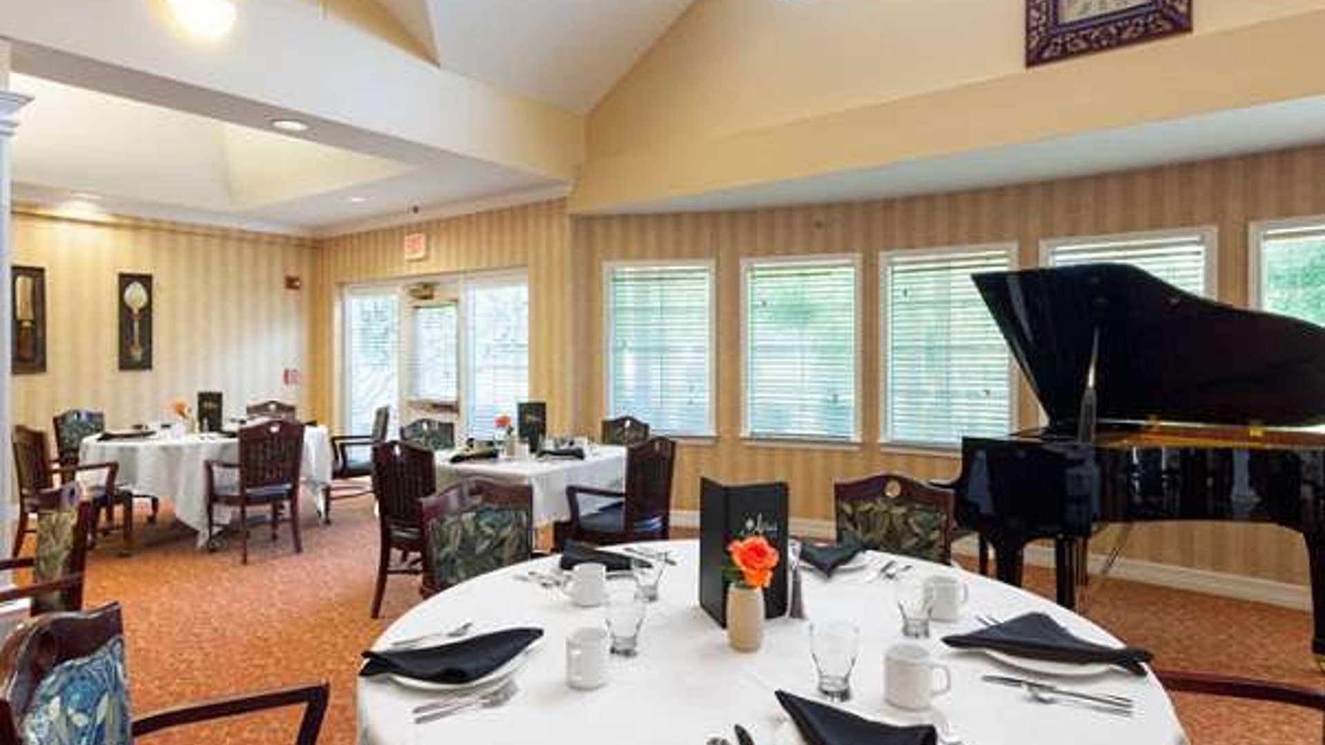 System.Collections.Generic.List`1[AFS.Common.Models.Photo] - Image 2