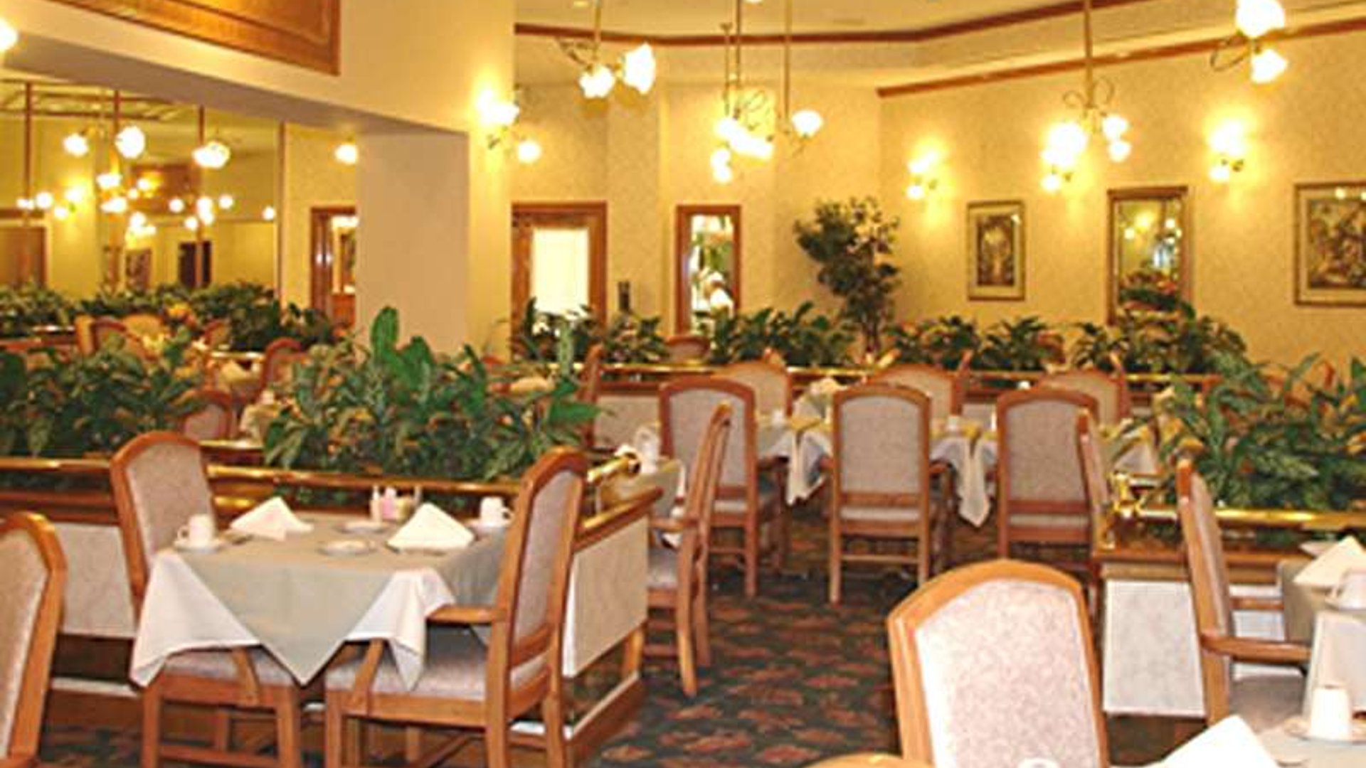 System.Collections.Generic.List`1[AFS.Common.Models.Photo] - Image 4