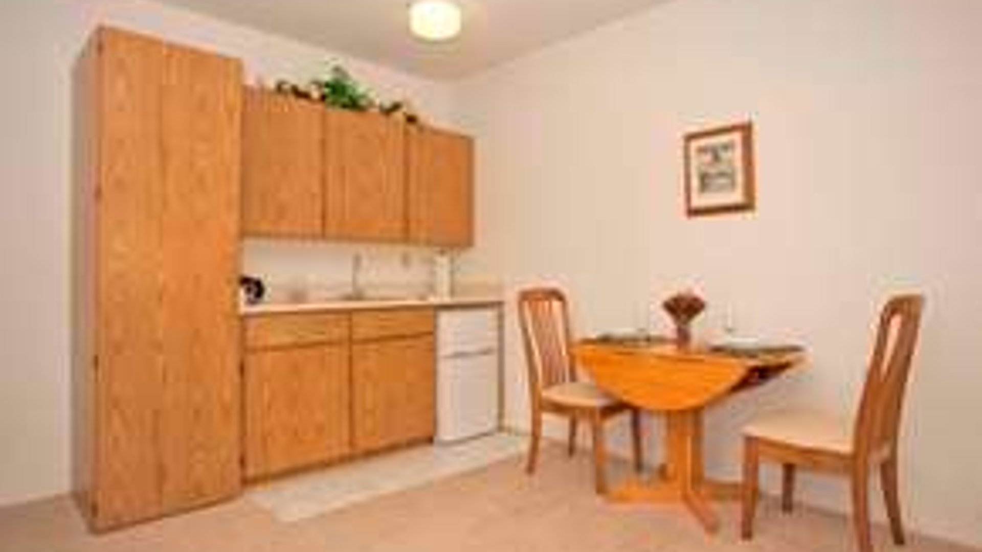 System.Collections.Generic.List`1[AFS.Common.Models.Photo] - Image 5