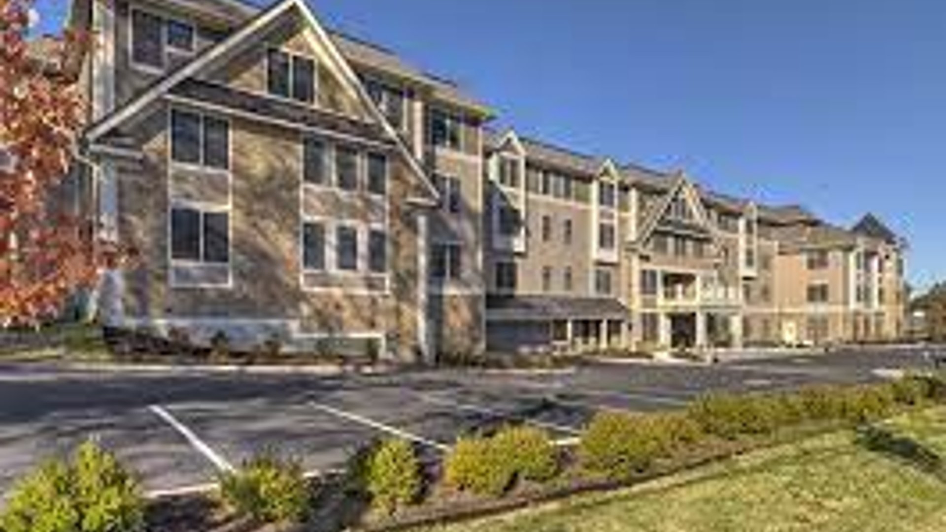 System.Collections.Generic.List`1[AFS.Common.Models.Photo] - Image 1