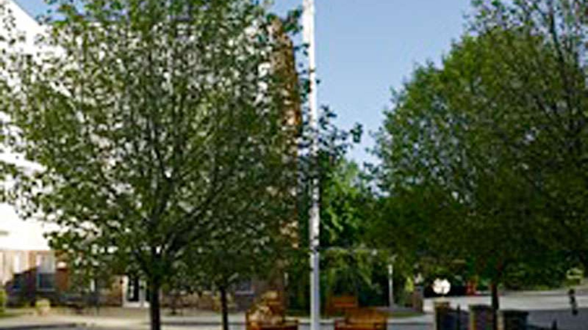 System.Collections.Generic.List`1[AFS.Common.Models.Photo] - Image 2