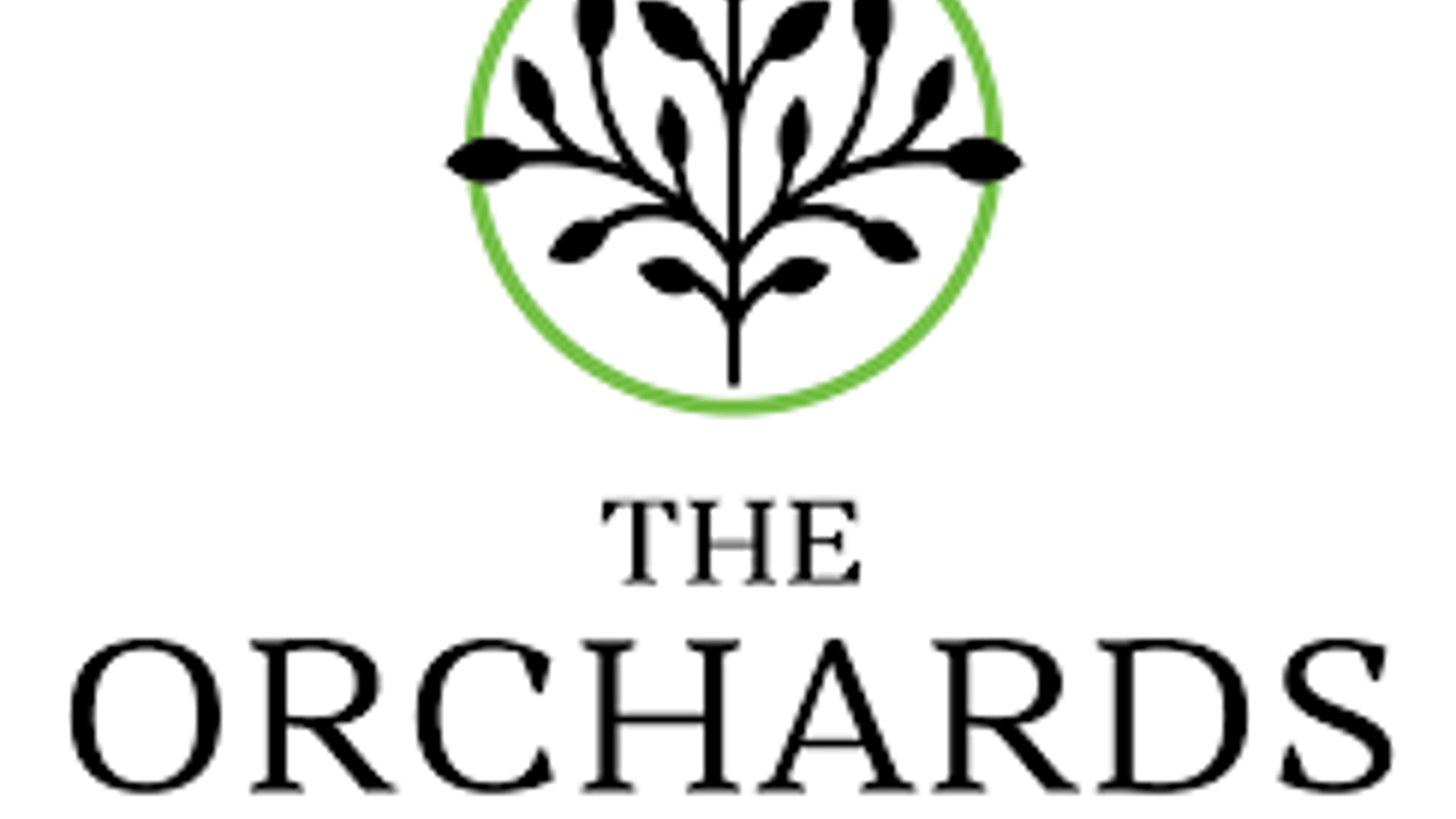 System.Collections.Generic.List`1[AFS.Common.Models.Photo] - Image 1