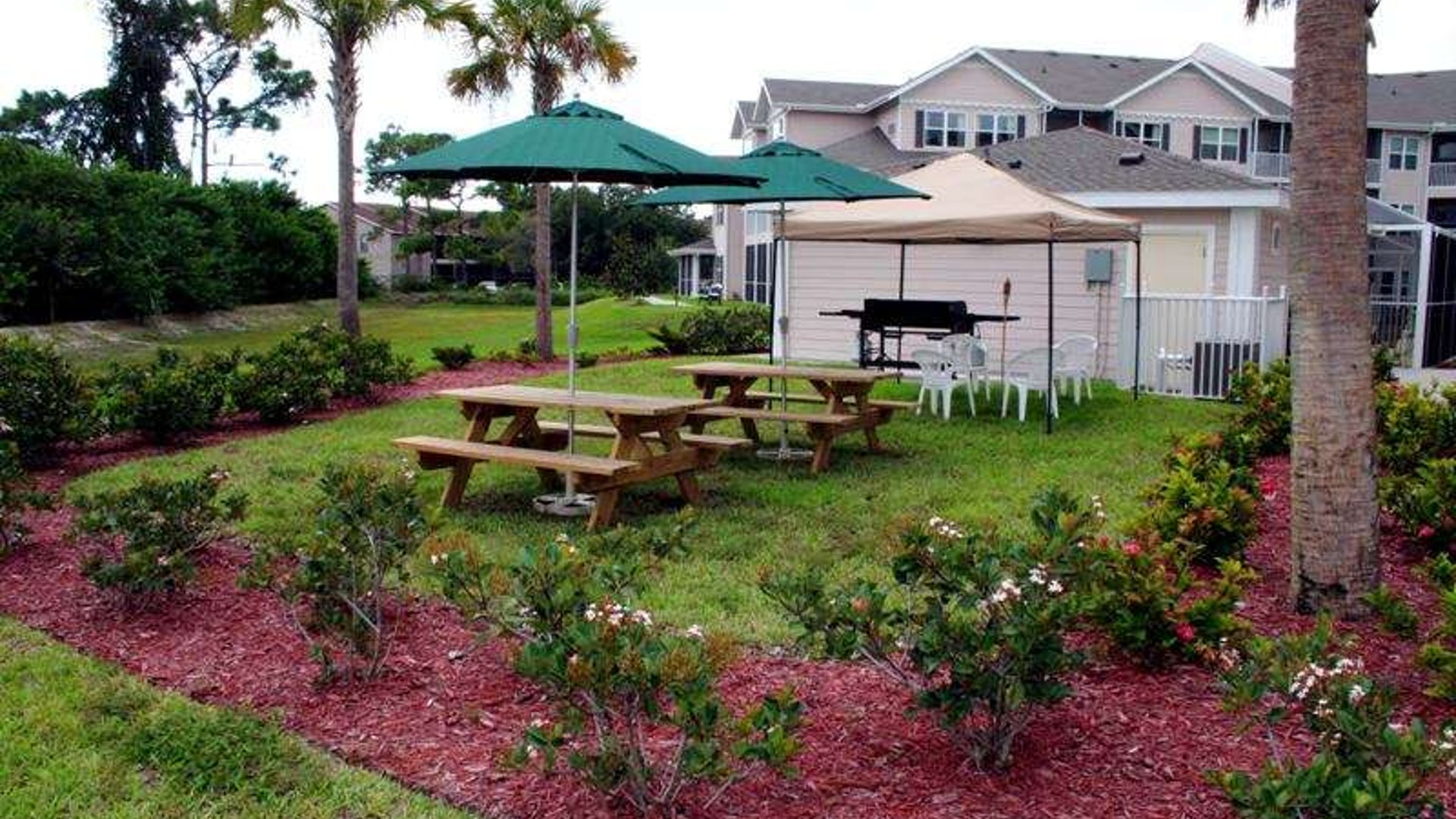 System.Collections.Generic.List`1[AFS.Common.Models.Photo] - Image 6