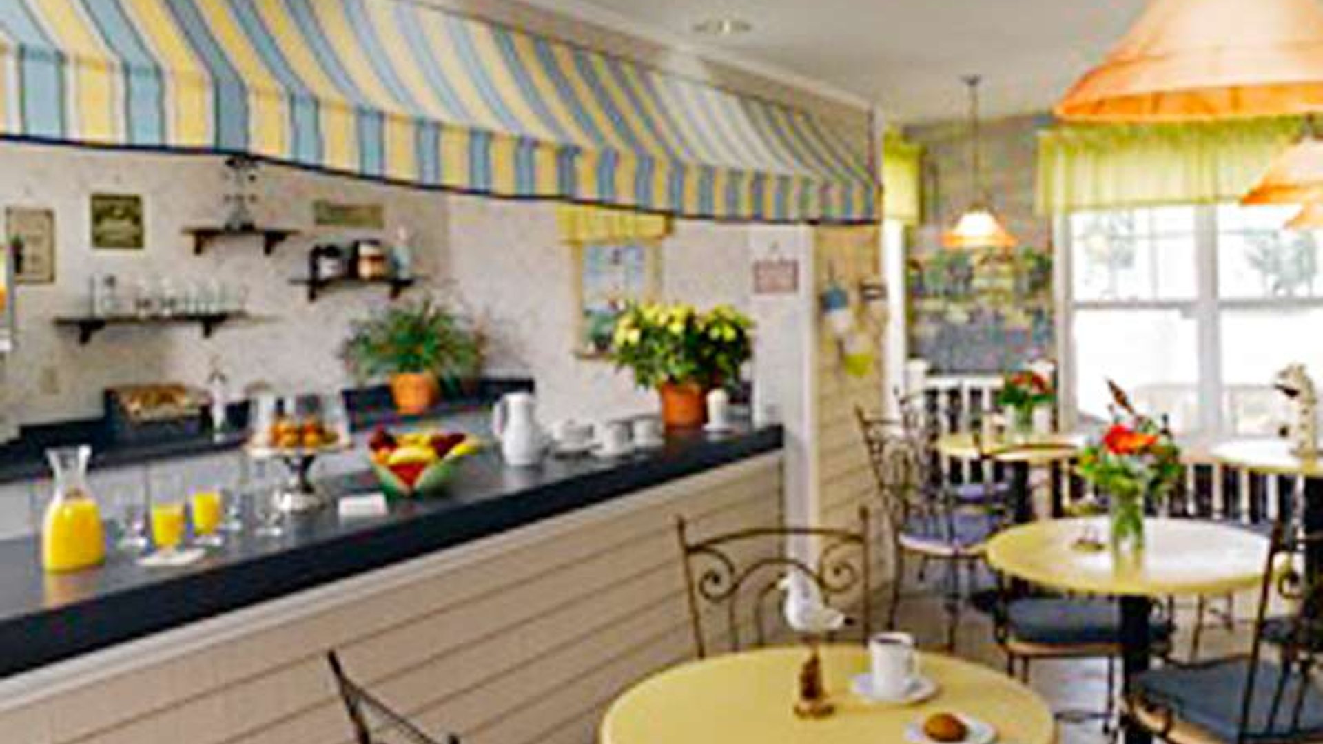 System.Collections.Generic.List`1[AFS.Common.Models.Photo] - Image 4