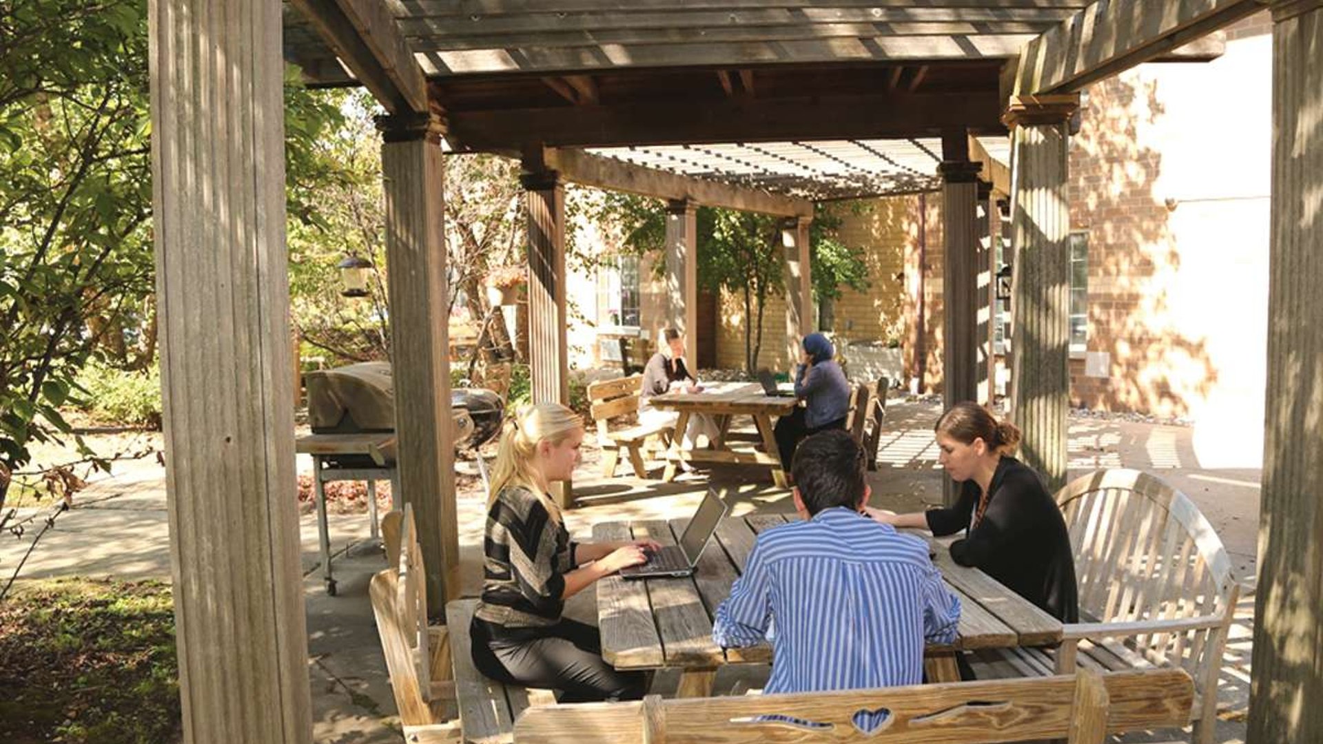 System.Collections.Generic.List`1[AFS.Common.Models.Photo] - Image 1