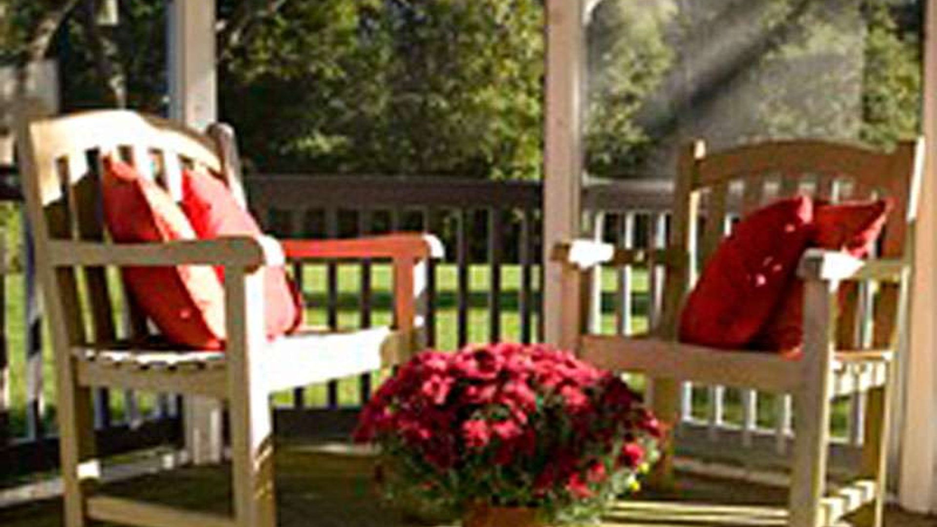 System.Collections.Generic.List`1[AFS.Common.Models.Photo] - Image 4