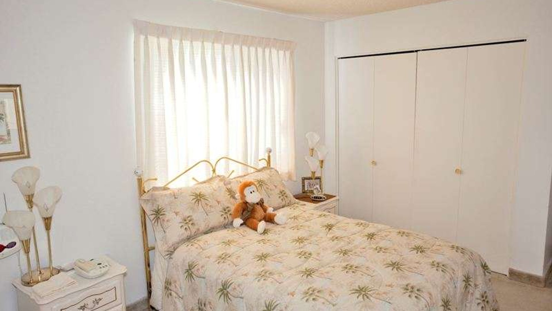 System.Collections.Generic.List`1[AFS.Common.Models.Photo] - Image 5