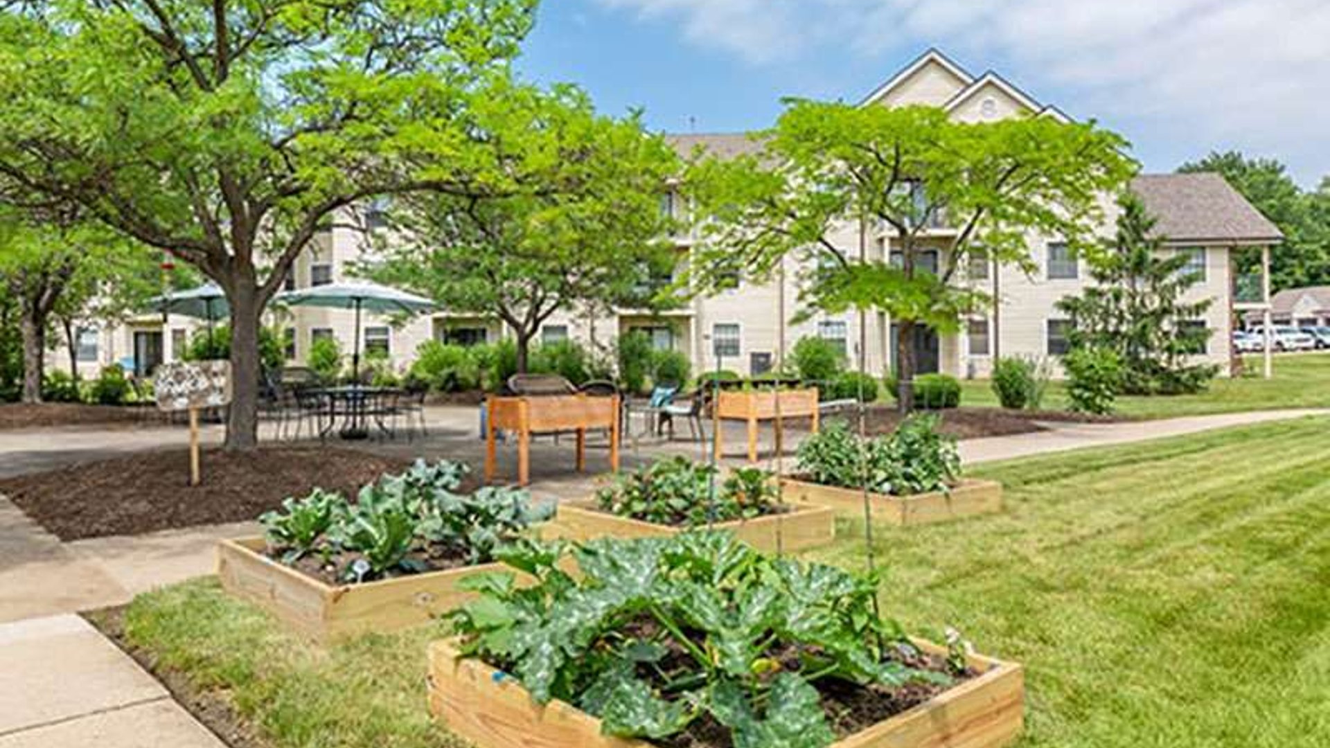 System.Collections.Generic.List`1[AFS.Common.Models.Photo] - Image 2