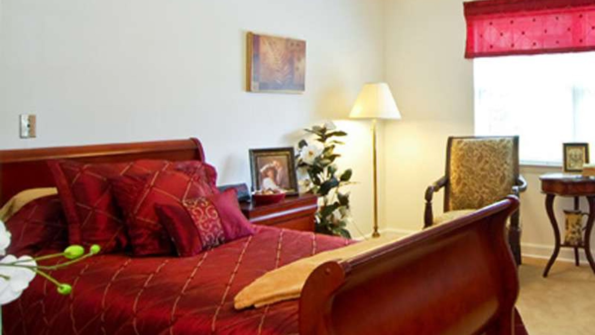 System.Collections.Generic.List`1[AFS.Common.Models.Photo] - Image 4