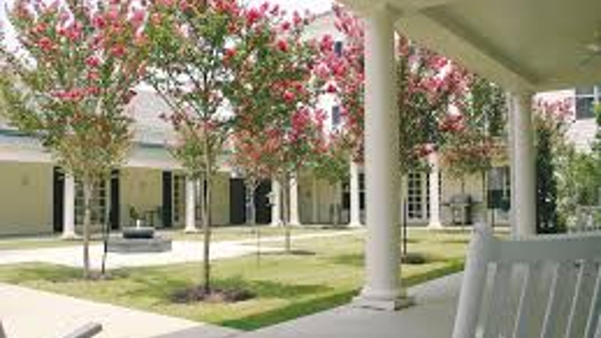 System.Collections.Generic.List`1[AFS.Common.Models.Photo] - Image 6