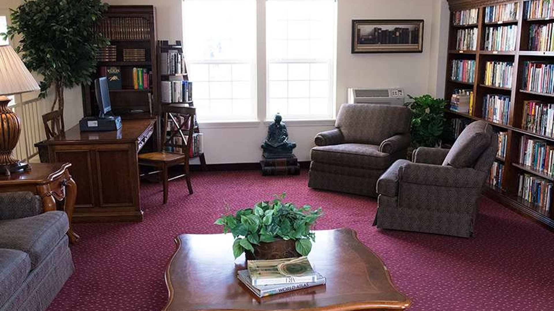 System.Collections.Generic.List`1[AFS.Common.Models.Photo] - Image 6