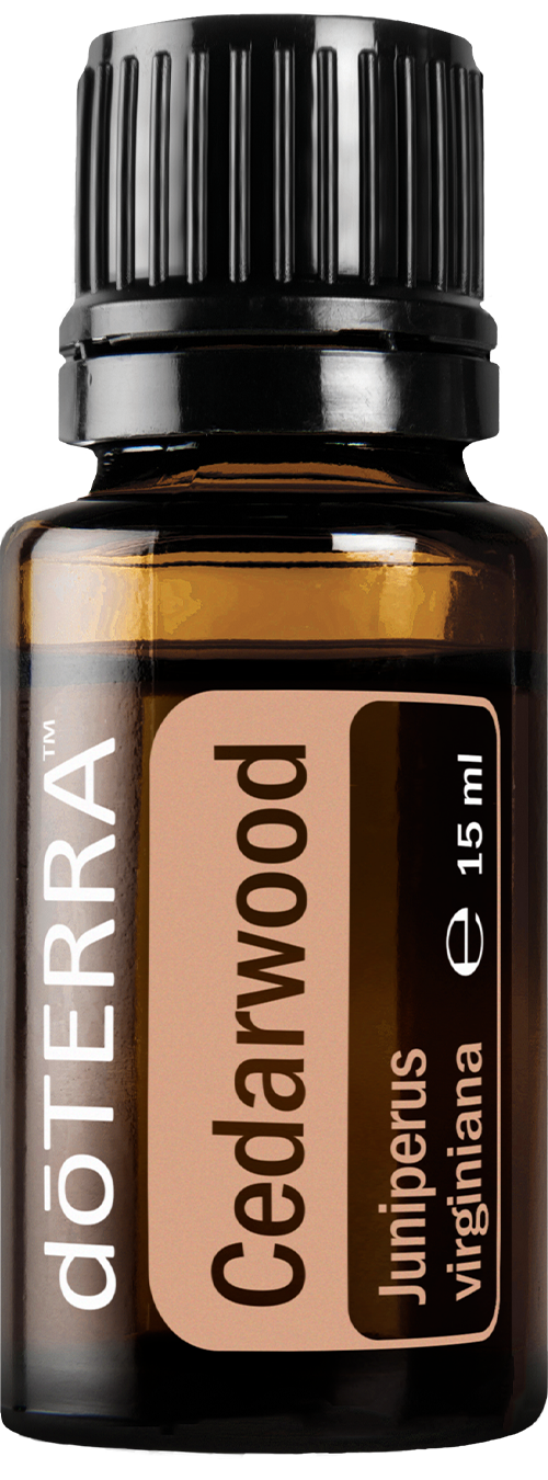 Cédrové drevo (Cedarwood)