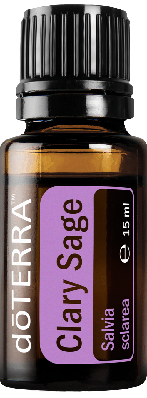 šalvia (Clary Sage)