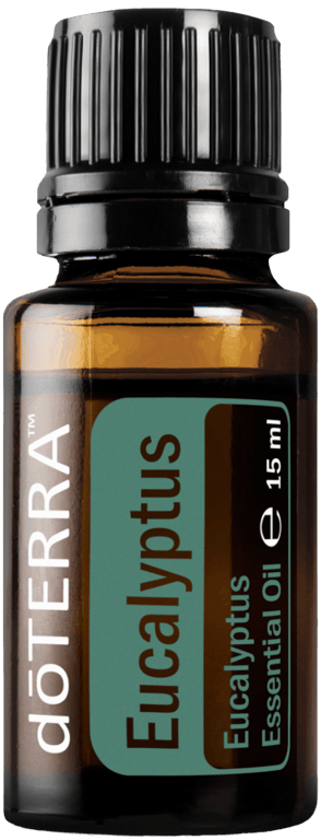 Eucalyptus