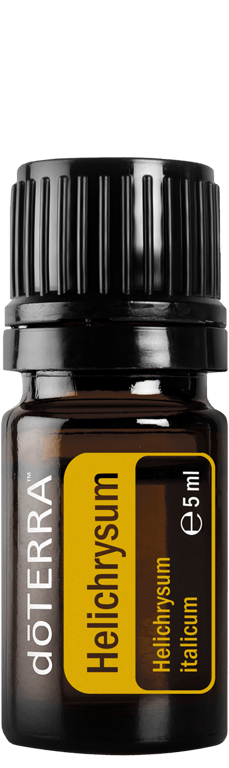 Helichrysum