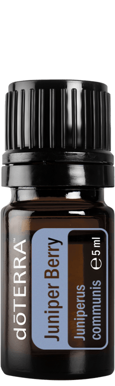Juniper Berry