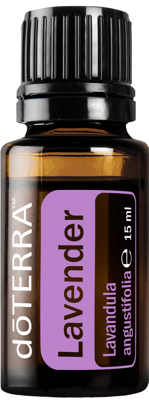 Lavender (Lavendel)