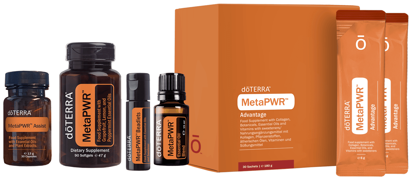 System MetaPWR