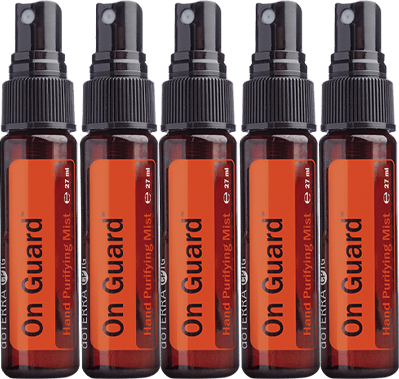 On Guard™ Handreinigungsspray (5er-Pack)