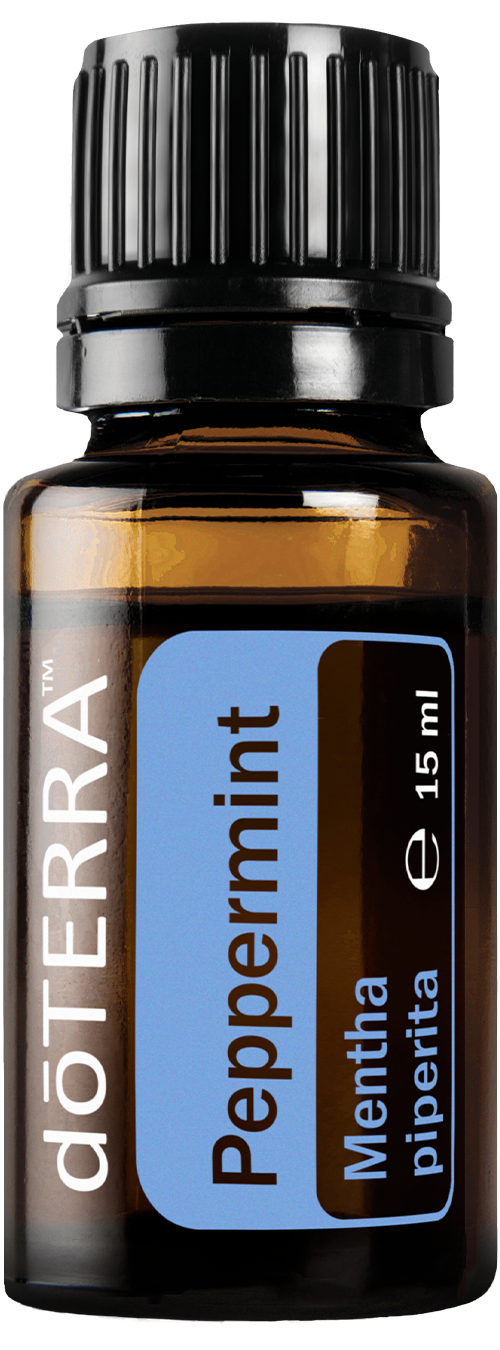 Peppermint (Лютива мента)