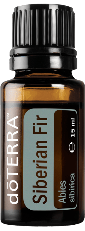 Siberian Fir