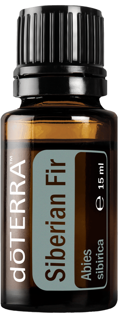 Siberian Fir