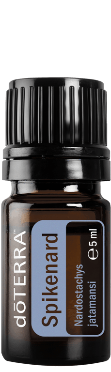 Spikenard