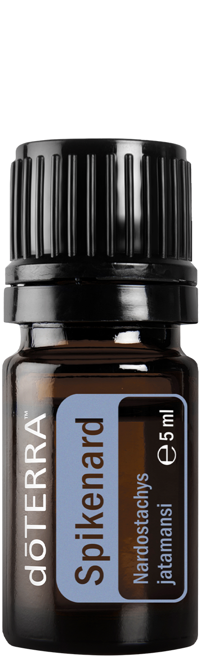 Nard (Spikenard)