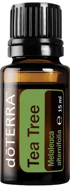 Tea Tree