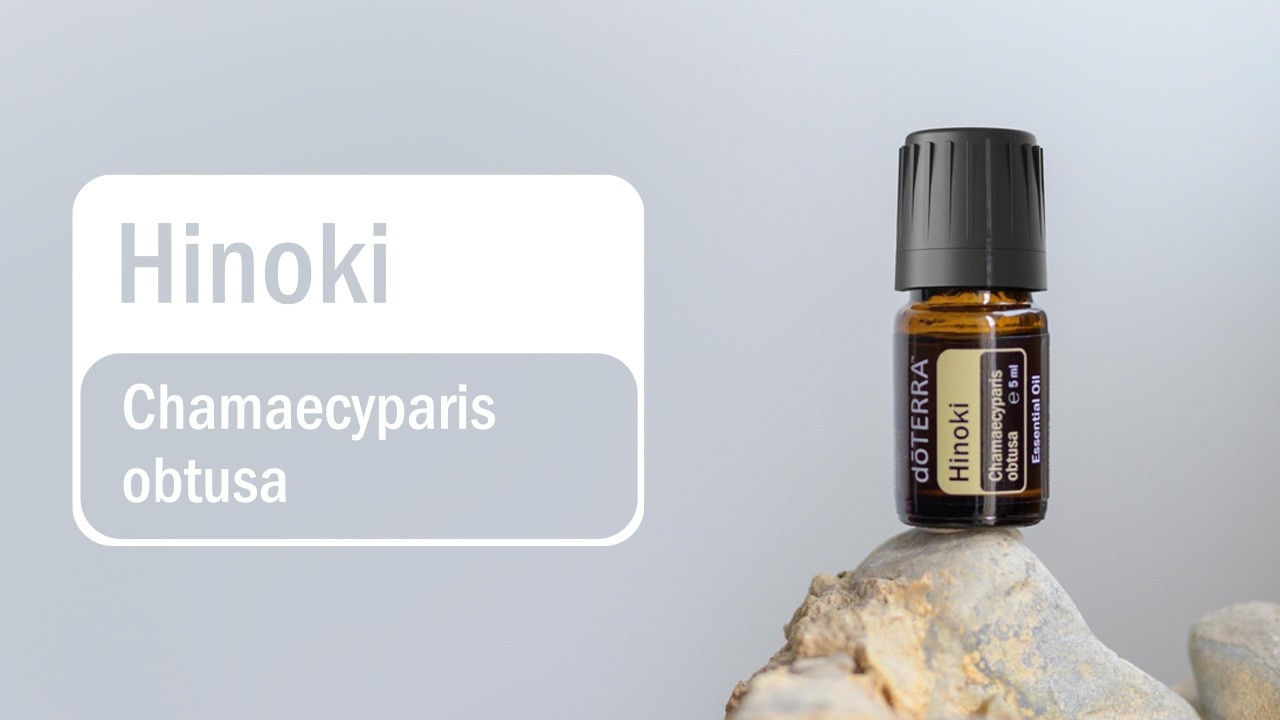 Hinoki 5ml Product Video