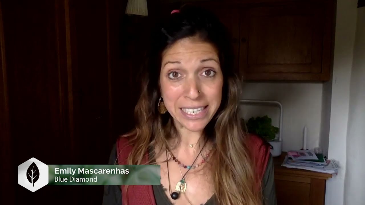 Maintaining Rank - Emily Mascarenhas (deutsch)