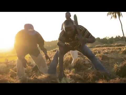 Co-Impact Sourcing - Vetiver