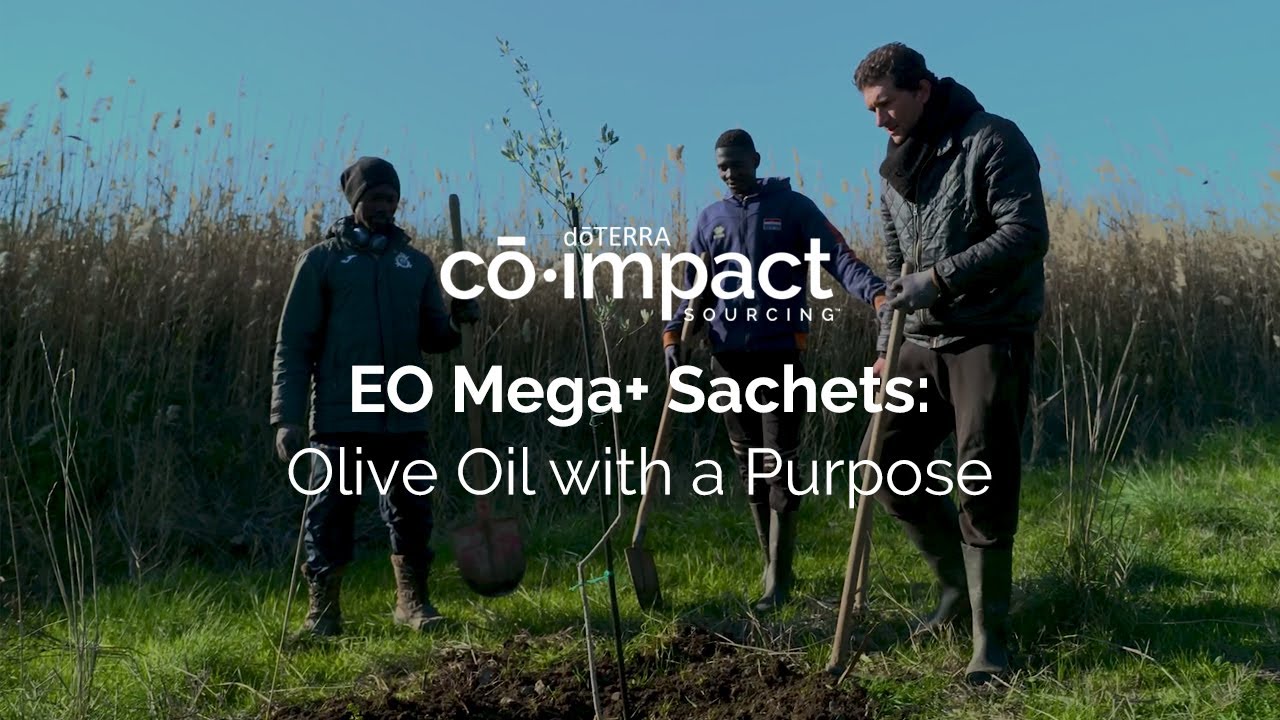 EO Mega+ Sachets: Olive Oil with a Purpose