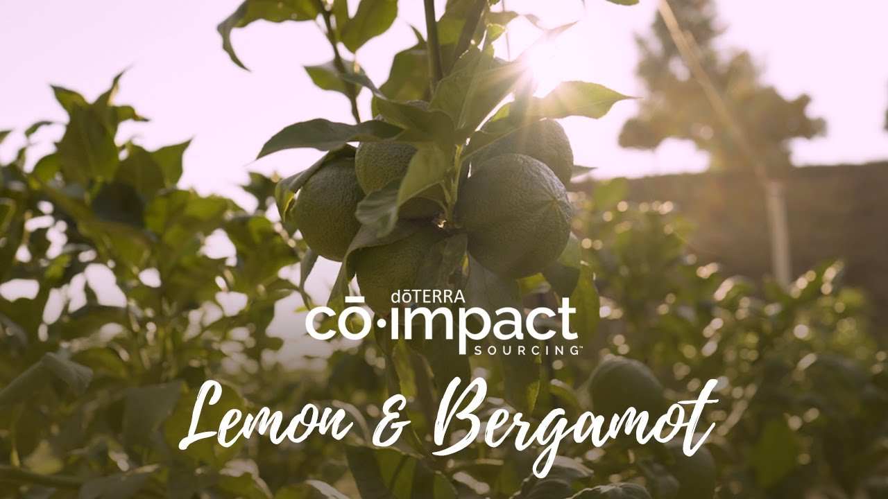 Co-Impact Sourcing: Lemon and Bergamot