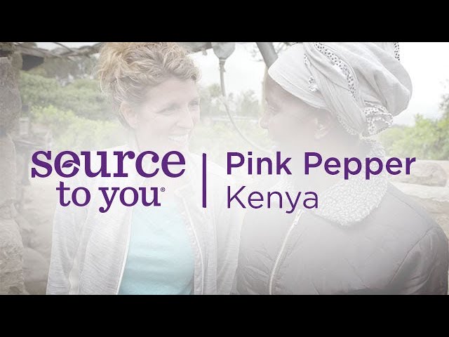 Pink Pepper Essential Oil - Sourcing Pink Pepper in Kenya (Translated Subtitles)