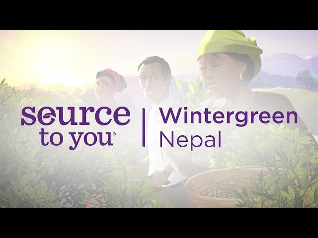doTERRA Wintergreen Oil - Nepal and the doTERRA Essential Oil Difference (Translated Subtitles)